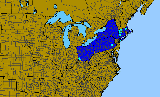 The range of Cercidiphyllum japonicum
